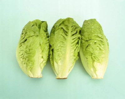 Quentova Little Gems Lettuce-VOX-2P Seed(300 per packet)