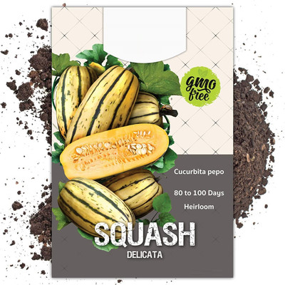 WILLVINE Non-GMO F1 HybridDelicata Winter Squash (Cucurbita Pepo)-625 Seeds Seed(625 per packet)
