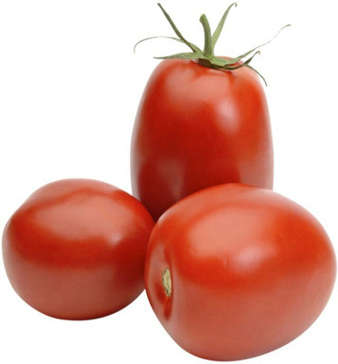 VRAKSHA Red tomatoes Seed(800 per packet)