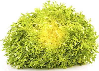 Qualtivate PUAS-4A Endive Lettuce Yellow Heart Curly Frisee Seed(300 per packet)