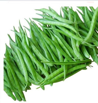 Quentova Guwar/Cluster Beans Seed(50 per packet)
