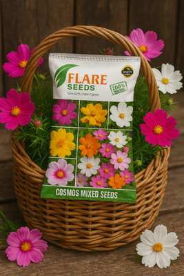 FLARE SEEDS Cosmos Mix flower seed, Cosmos high germination Seed (200 per packet) Seed(200 per packet)
