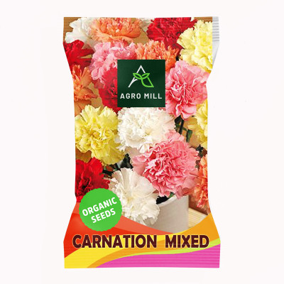 AGRO MILL CARNATION/DIANTHUS MIXED PREMIUM QUALITY FLOWER Seed(20 per packet)