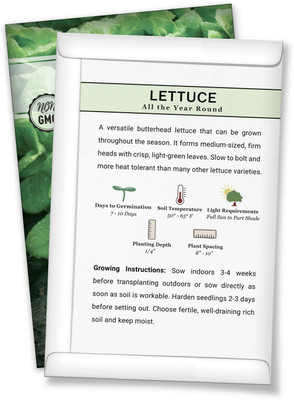 Quentova All the Year Round Lettuce 1gm Seed(800 per packet)