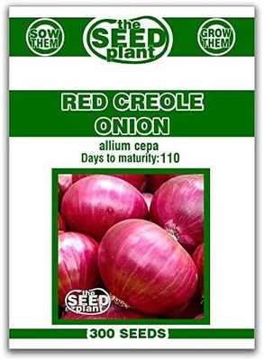 WILLVINE ROX -X Red Creole Onion Seeds [2.5g] Seed(1500 per packet)