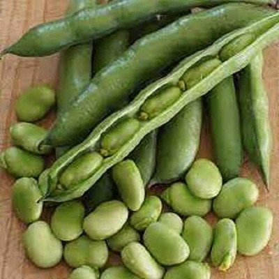 Aywal Bakla/Broad Beans Vegetable Seed(7 per packet)