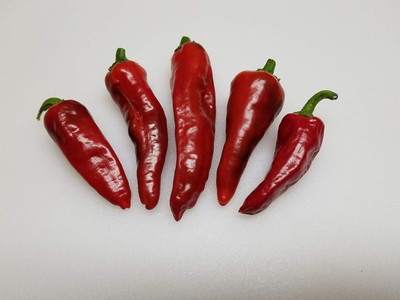 KNESSiN Hybrid Red Escondida Pepper Vegetable Seeds For Planting-(2400 Seeds) Seed(2400 per packet)