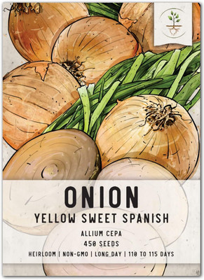 Biosnyg Non GMO Yellow Sweet Spanish Onion Vegetable Seeds for Garden-(3000 Seeds) Seed(3000 per packet)