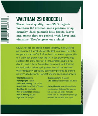 Qualtivate VXL-3AT Exotic Broccoli Seeds Seed(300 per packet)