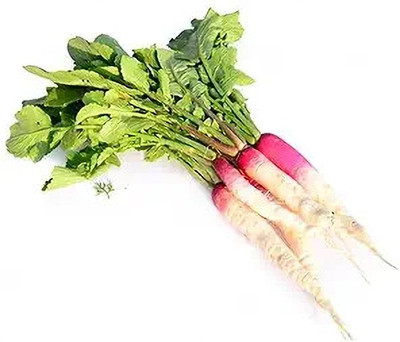 LPR MULI ,WHITE RADISH Seed(40 per packet)