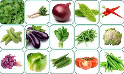 DEYS AGRO ™ 15 variety vegetable seeds combo pack Seed(1100 per packet)