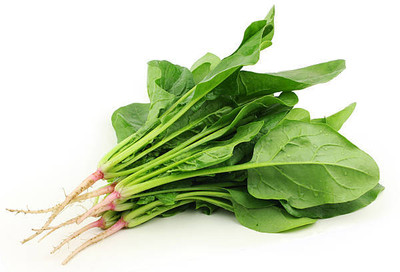 Kodali 36 Pcs-Spinach Pui Shak Seeds Seed(36 per packet)