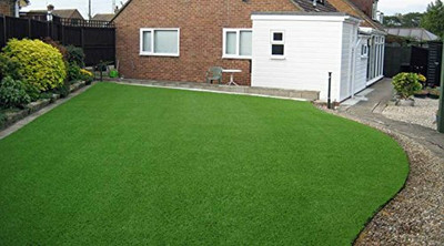wequality Grass seeds for home garden, Home garden lawn grass seeds, mat grass Seed(7000 per packet)