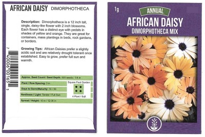 Biosnyg Mixed Colors Dimorphotheca Flower Seeds African Daisy[100 Seeds] Seed(100 per packet)