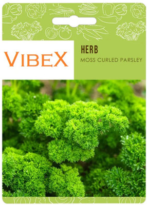 Biosnyg Moss Curled Parsley Herb Seeds[500 Seeds] Seed(500 per packet)