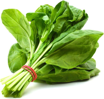 BDSresolve Palak seeds for hydroponic PACK OF 290 Seed(290 per packet)