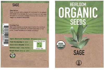 CYBEXIS Non-GMO Organic Herb Seeds:Sage700 Seeds Seed(700 per packet)