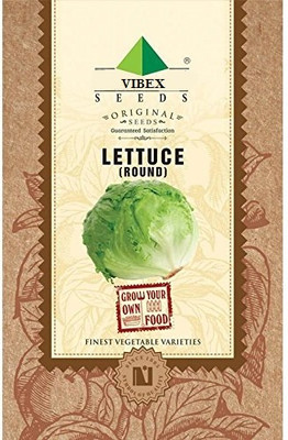 WILLVINE Lettuce Round Seeds Seed(20000 per packet)