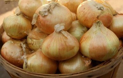 Qualtivate PUAS-9A Onion Seed: Texas Super Sweet (Slicing) Onion Seed(500 per packet)