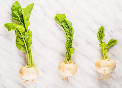 Quentova Snowball Turnip 10g Seed(2000 per packet)