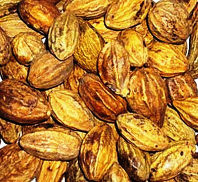 PuspLata HARDE|HARAD|HARITAKI Seed(100 per packet)