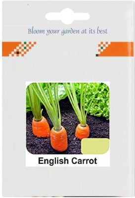 CYBEXIS English Carrot2000 Seeds Seed(2000 per packet)