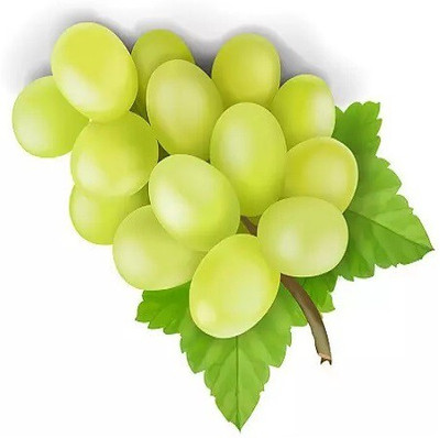Quentova Extra Sweet green grapes-HQ-2E Seed(150 per packet)