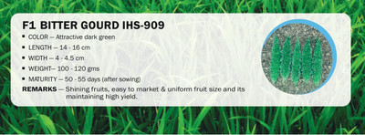 CYBEXIS F1 BITTER GOURD IHS-909(500 Seeds) Seed(500 per packet)