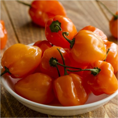 Biosnyg HUA-19 Orange Habanero Pepper (Capsicum chinense)-[800 Seeds] Seed(800 per packet)