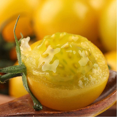 CYBEXIS Tomato Annual Yellow Heirloom Vegetable Seed2000 Seeds Seed(2000 per packet)