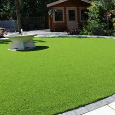 Greenfall Bermuda Grass Seeds for Perfect Lawns - 5500 Seeds Seed(5500 per packet)
