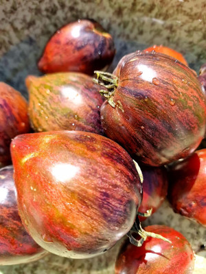 KNESSiN F1 Hybrid Rebel Star Fighter Tomato Summer Vegetable Seeds - (1000 Seeds) Seed(1000 per packet)
