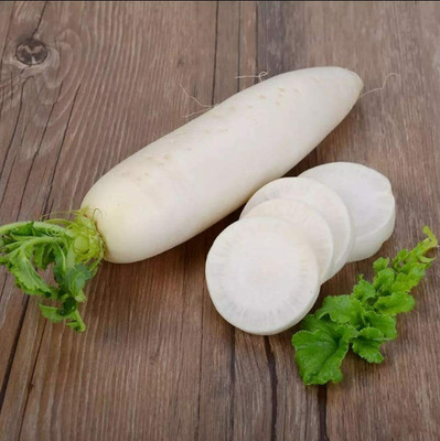 CYBEXIS White Radish Seeds2400 Seeds Seed(2400 per packet)
