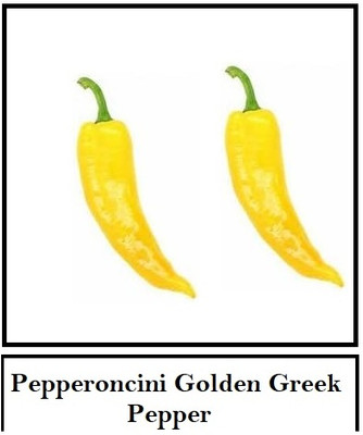 Biosnyg F1 Hybrid Golden Greek Pepper Vegetable Seeds For Planting-(4000 Seeds) Seed(4000 per packet)