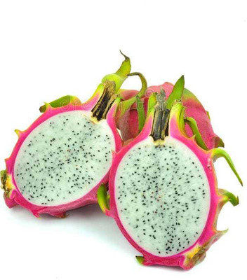 Oliver imported@ hybrid dragon fruit seed Seed(200 per packet)