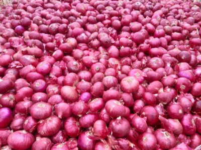 VibeX ® LXI-1018 F1 Hybrid Onion Red Nashik Seed(1000 per packet)