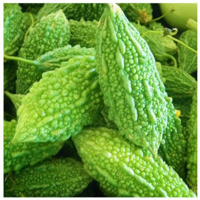VibeX VXI-53 - Bitter Gourd / Karela For Planting - (300 Seeds) Seed(300 per packet)