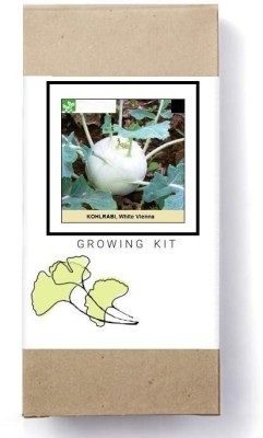 Biosnyg Kholrabi/Knol Khol White Vienna-[1000 Seeds] Seed(1000 per packet)