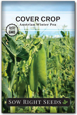 VibeX ® VMR-163 Austrian Winter Peas Seed(50 per packet)