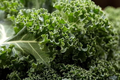 WILLVINE ROX -II Kale - Blue Curled Scotch/Vates [50g] Seed(15000 per packet)
