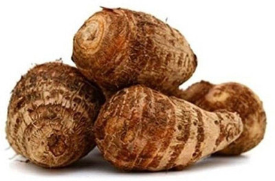 KANAYA Taro Root/Arbi Bulbs Seed(4 per packet)