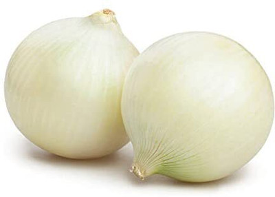WILLVINE ROX -XII F1 Hybrid White Onion Pyaaj [5g] Seed(3000 per packet)