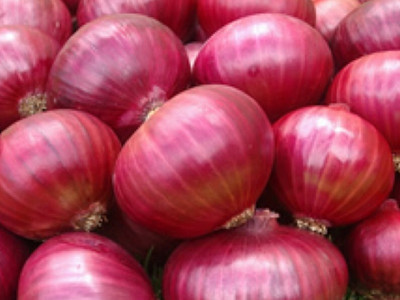 Quentova Nasik Onion-VOX-9B Seed(250 per packet)