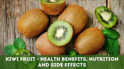XOLDAA KIWI FRUIT SEEDS HYBRID F1 QUALITY Seed(174 per packet)