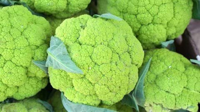 Aywal High Germination Green Cauliflower Vegetable Seed(10 per packet)