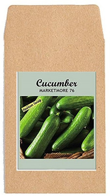 KNESSiN Cucumber Marketmore Seed(1250 per packet)