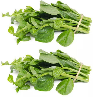 Avysa Organic Palak Spinach Seed(2000 per packet)