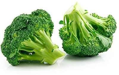 CYBEXIS LXI-22 - Broccoli (Exotic Vegetable ) - (150 Seeds) Seed(150 per packet)