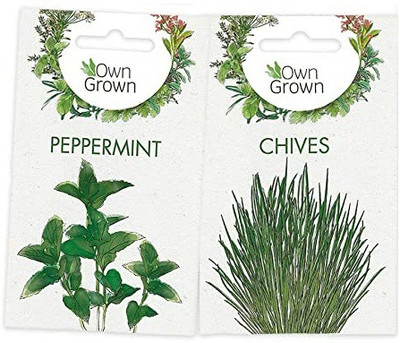 CYBEXIS 2 - Varities Seeds Combo-Peppermint,Chives Seed(10 g)