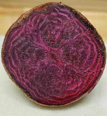 MYLAWN Beetroot Seed(100 per packet)